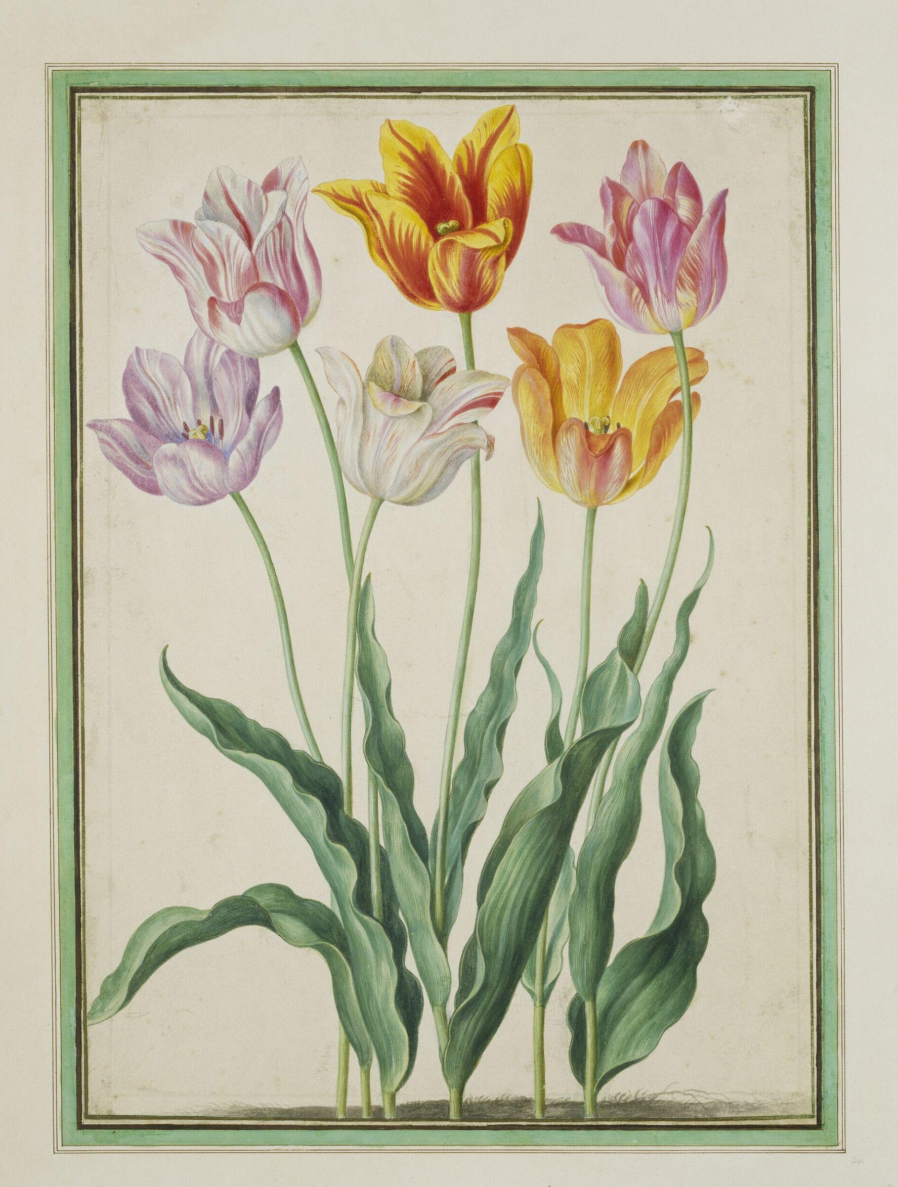 Watercolour, Johann Jakob Walther