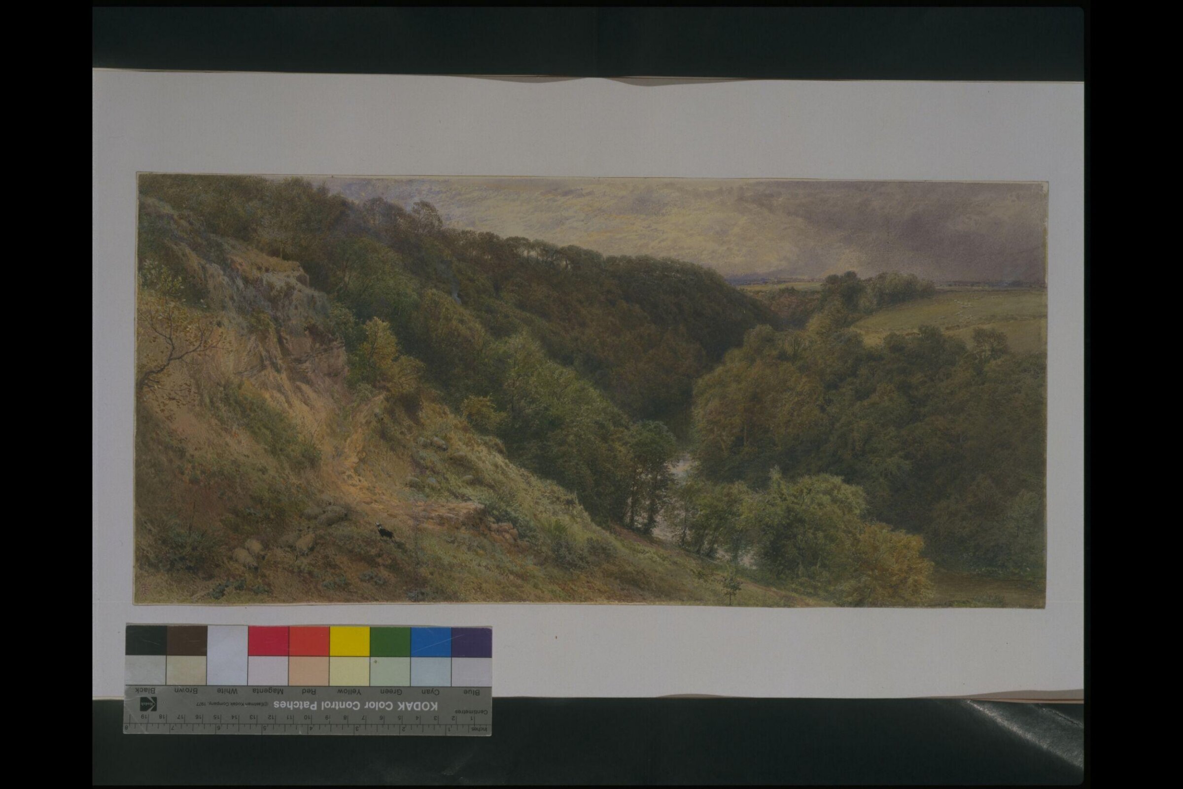 A Dell in Devonshire, Myles Birket Foster, 1845-1899