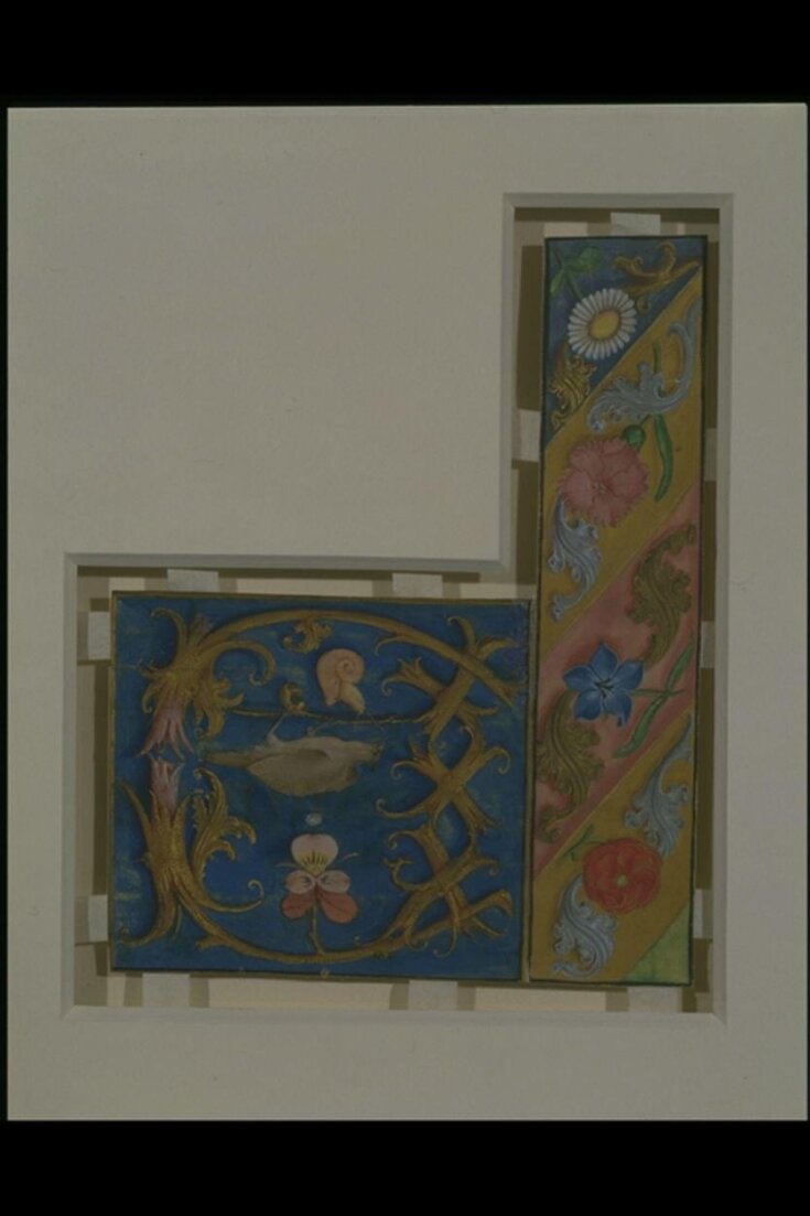 Manuscript Cutting top image
