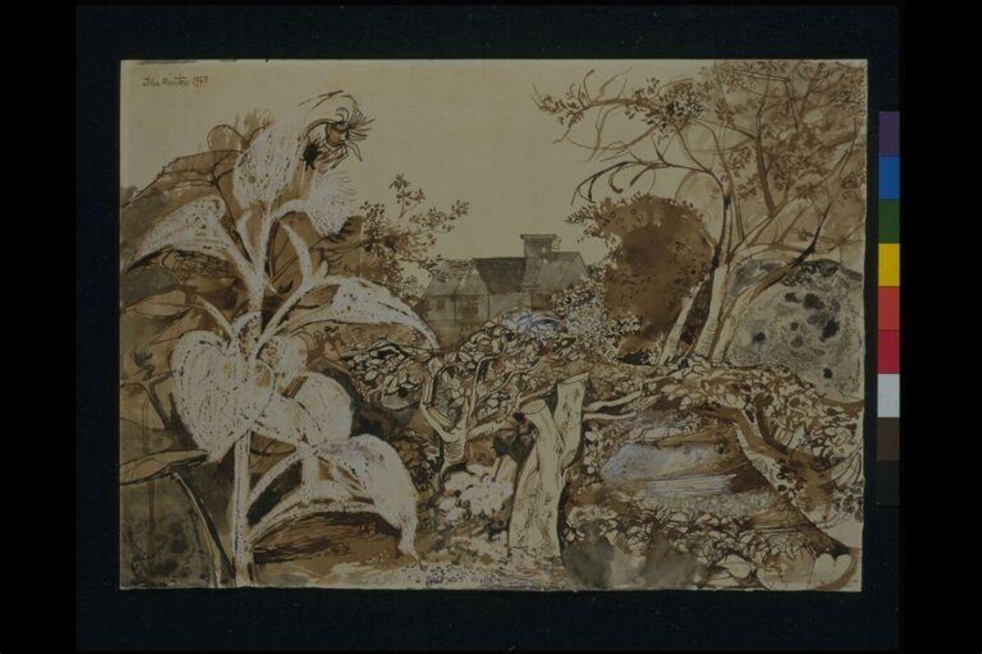 John Minton, Sunflowers