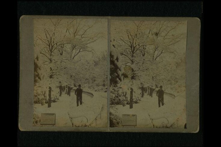 Stereoscopic photograph depicting a man shovelling snow top image