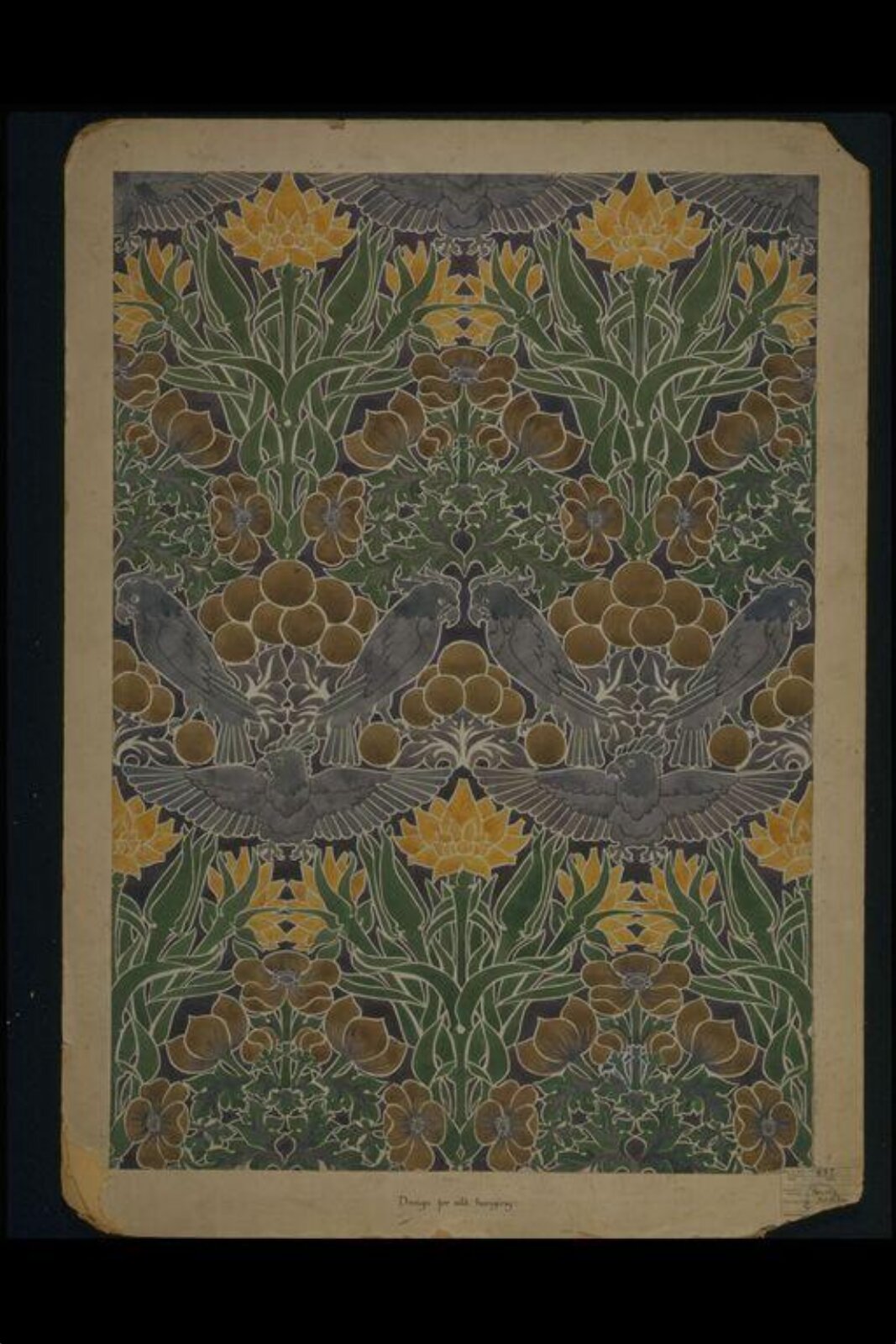 Drawing, Kathleen Kersey, 1911
