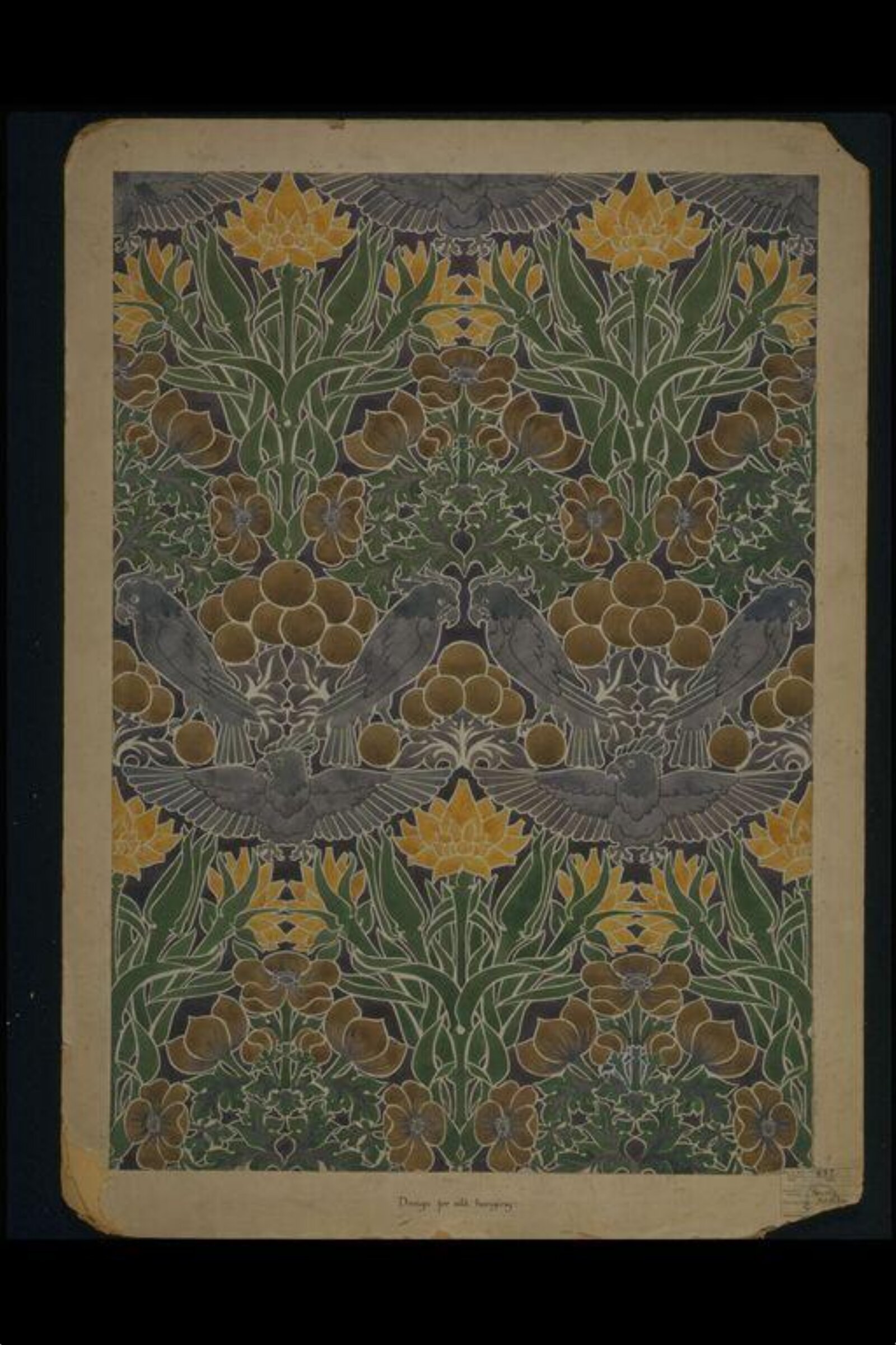 Drawing, Kathleen Kersey, 1911
