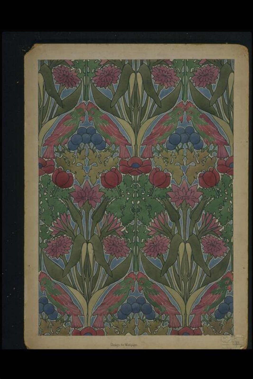 Drawing, Kathleen Kersey, 1911