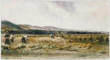 A Harvest Field thumbnail 1