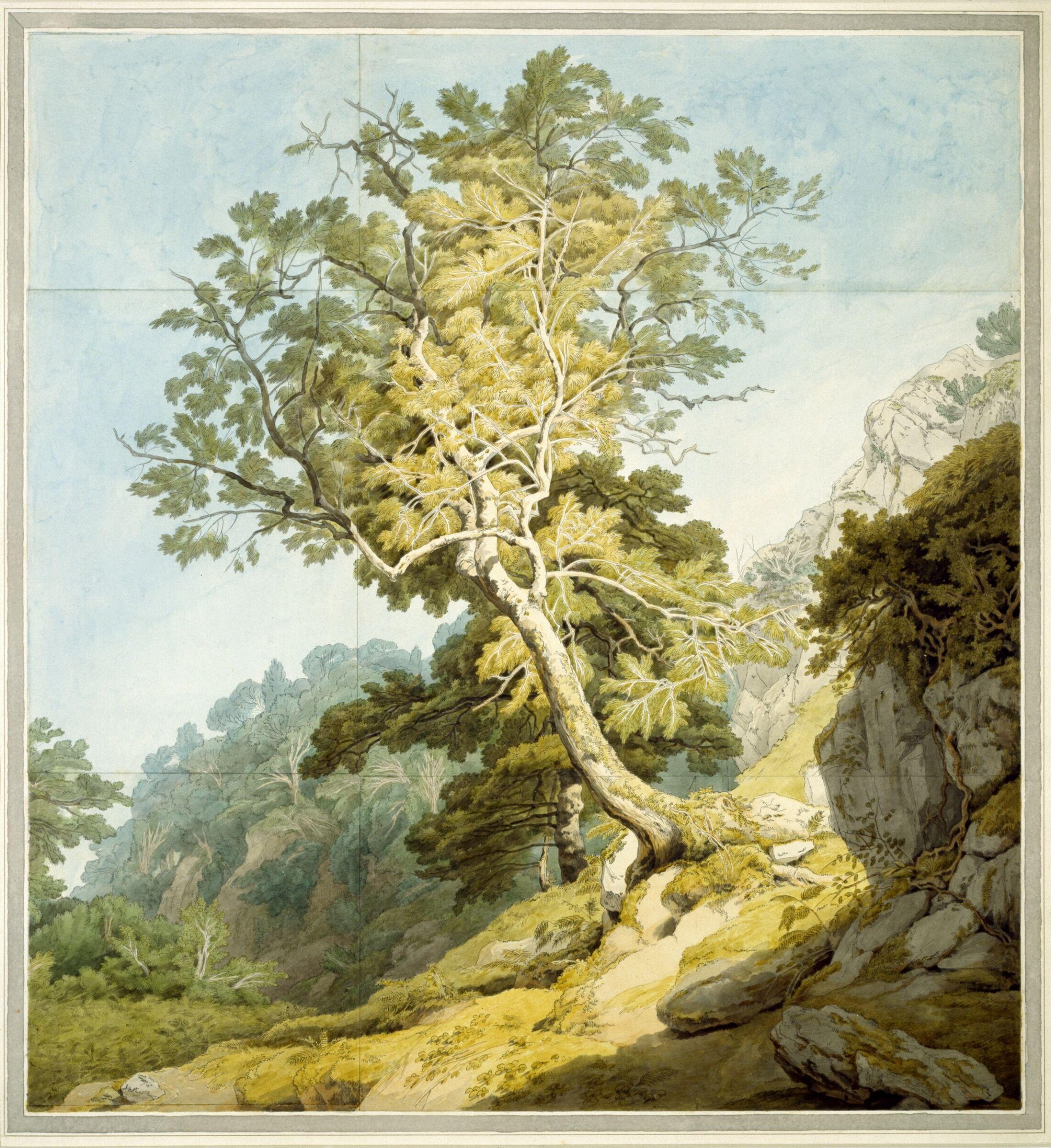 View near Canonteign, Devon, John White Abbott, 1803