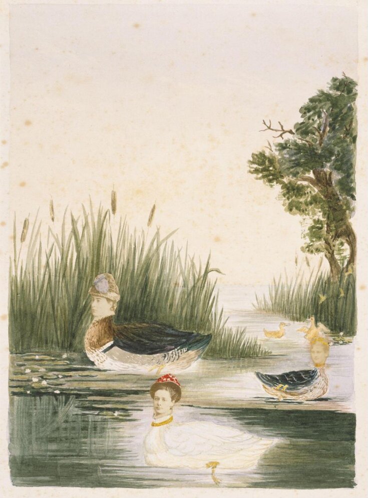 Untitled (ducks) top image