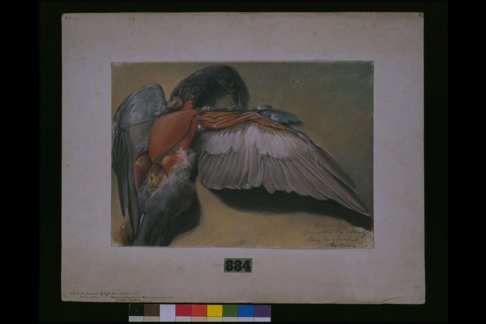 Drawing, Henry James Townsend, 1850-3