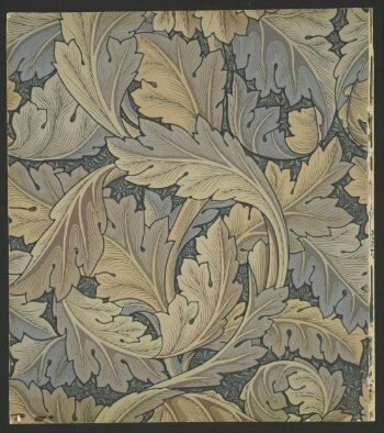 Acanthus