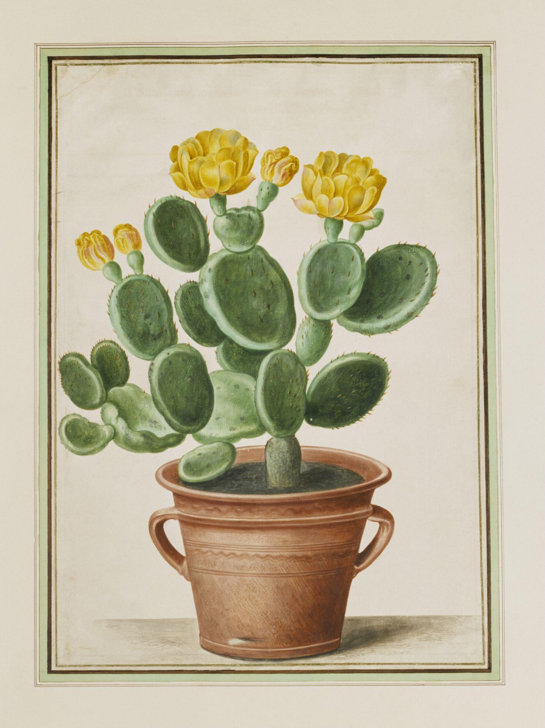 Watercolour, Johann Jakob Walther, 1654