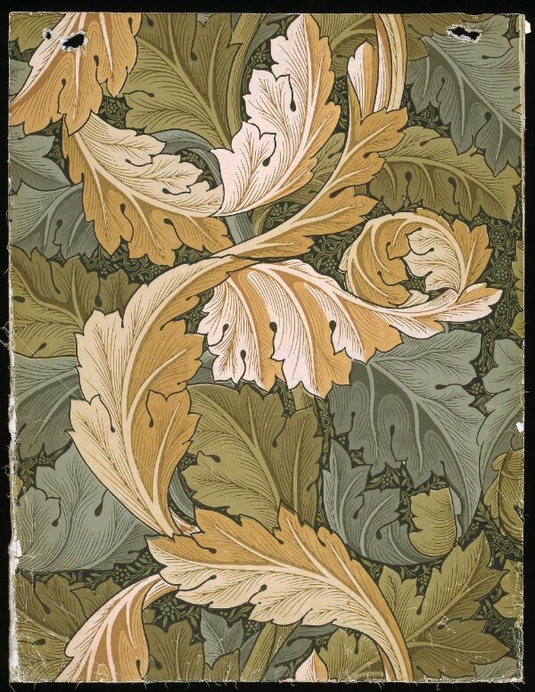 Acanthus | Morris, William | V&A Explore The Collections