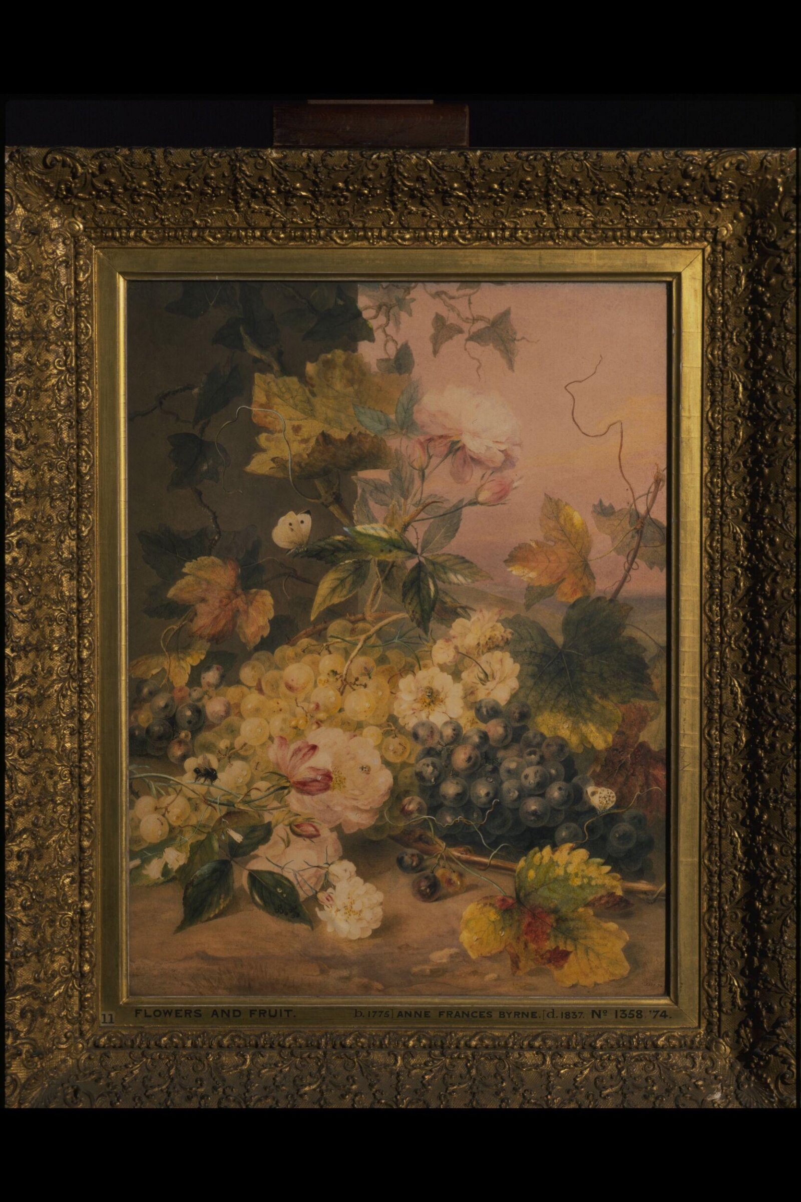 Flowers and Grapes, Anne Frances Byrne, 1826