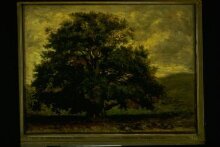 A Tree in Fontainebleau Forest | Rousseau, Pierre-Etienne-Théodore | V ...