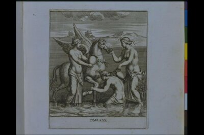 Le pitture antiche del sepolcro de Nasonii nella Via Flaminia disegnate ed intagliata alla similitudine degli antichi originali da Pietro Santi Bartoli
