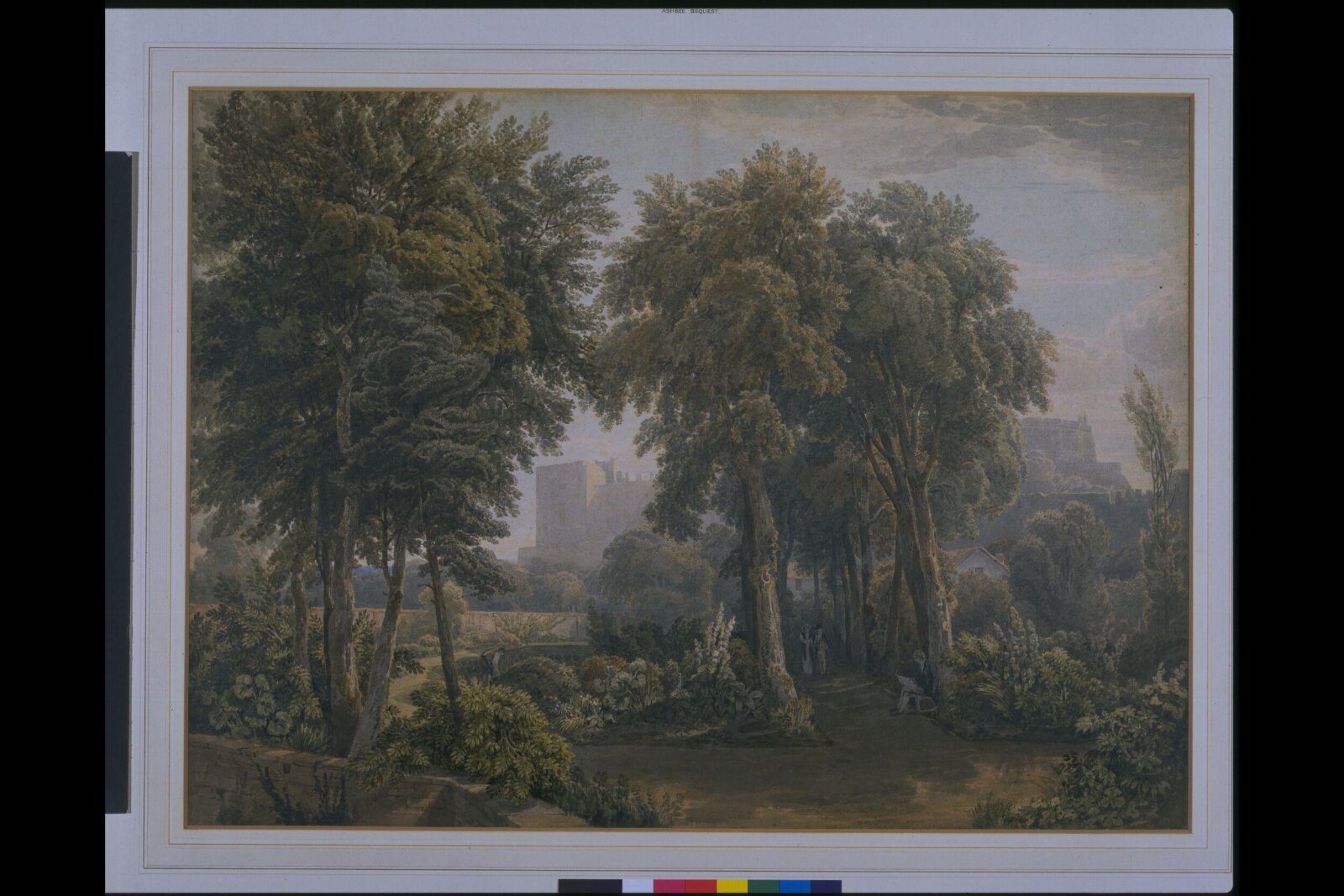 Watercolour