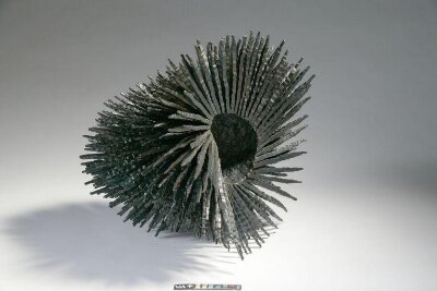 A Very Large Propagation Project of Textured Spikes