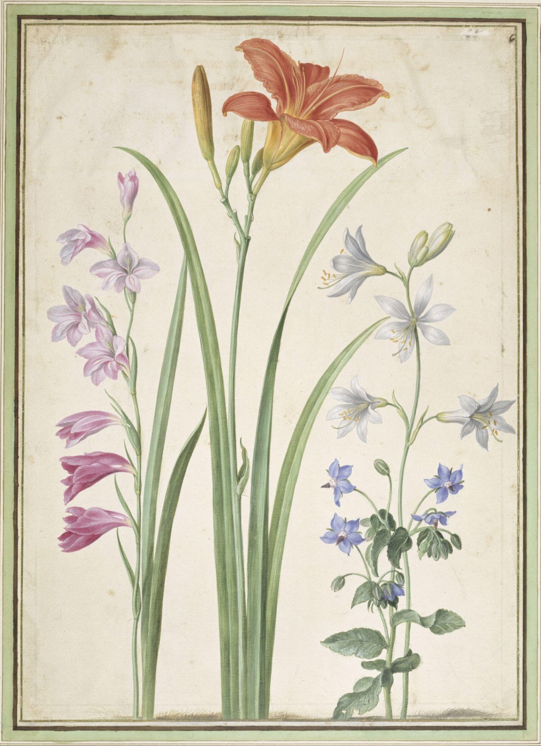Watercolour, Johann Jakob Walther