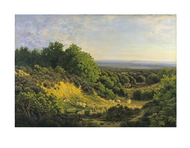 The Evening Sun: View on Ewhurst Hill, near Guildford