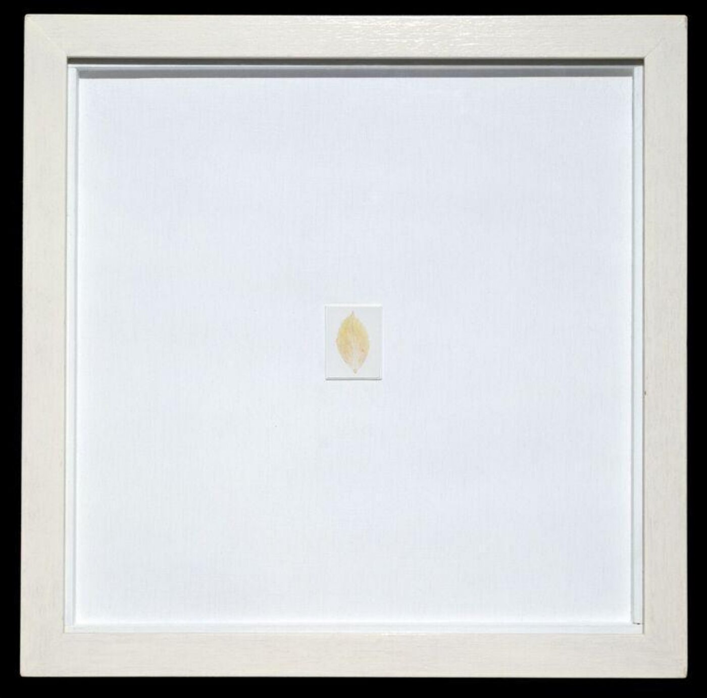 Garry Fabian Miller, Tear