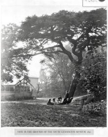View of the grounds of the South Kensington Museum, 1891 thumbnail 1