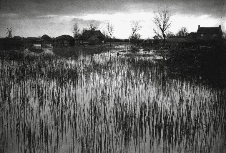 Life and landscape on the Norfolk Broads 