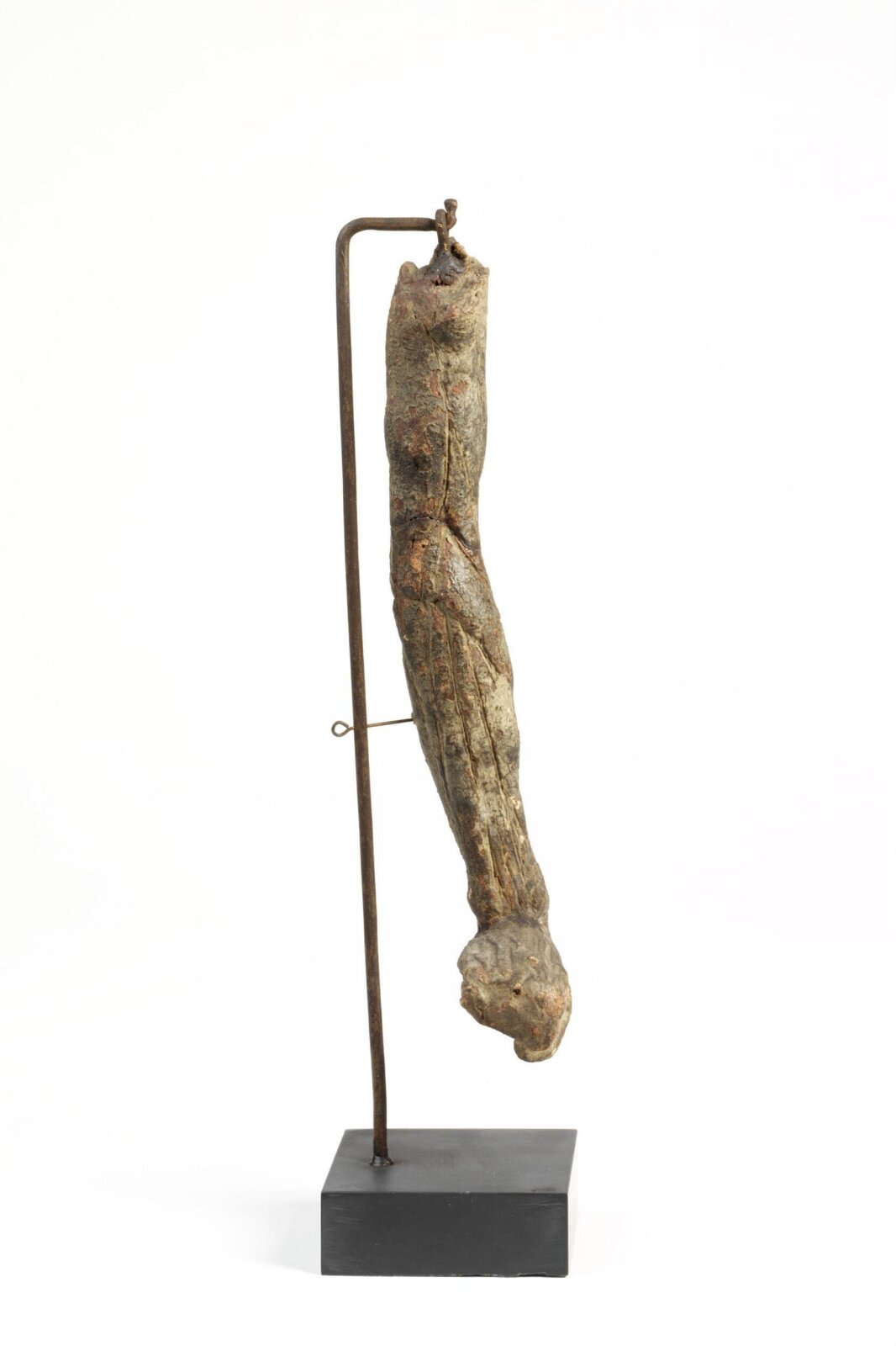 Right Arm Écorgé, ca. 1550-ca. 1600