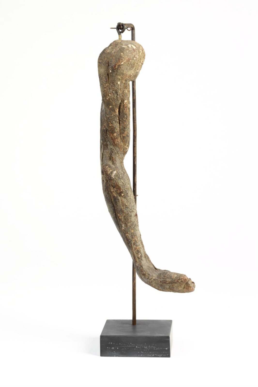 A Right Arm Écorgé, ca. 1550