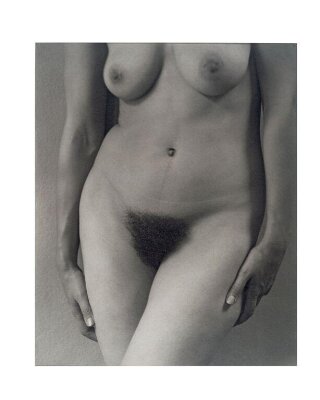Georgia O'Keeffe - Torso