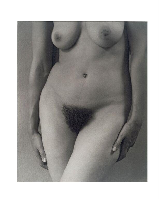 Georgia O'Keeffe - Torso