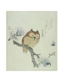 Owl on a Flowering Magnolia Branch thumbnail 1