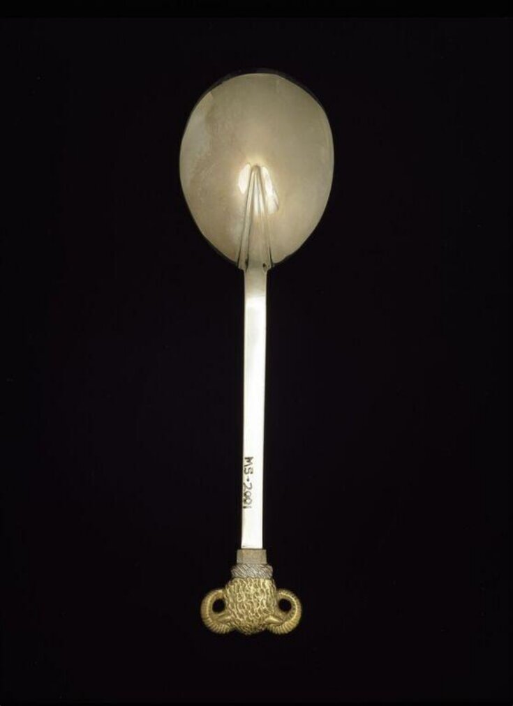 Spoon top image