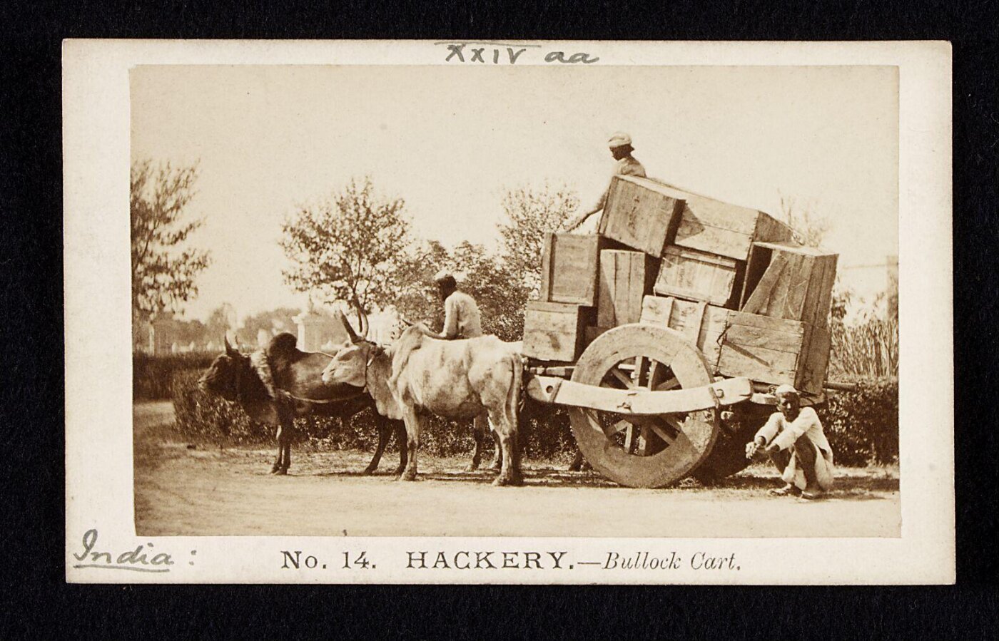 Unknown, Bullock cart