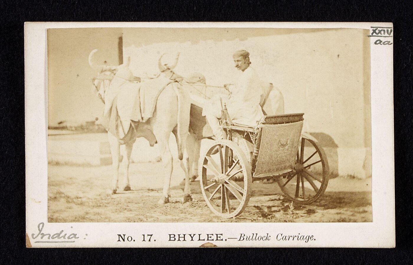 Unknown, Bullock carriage