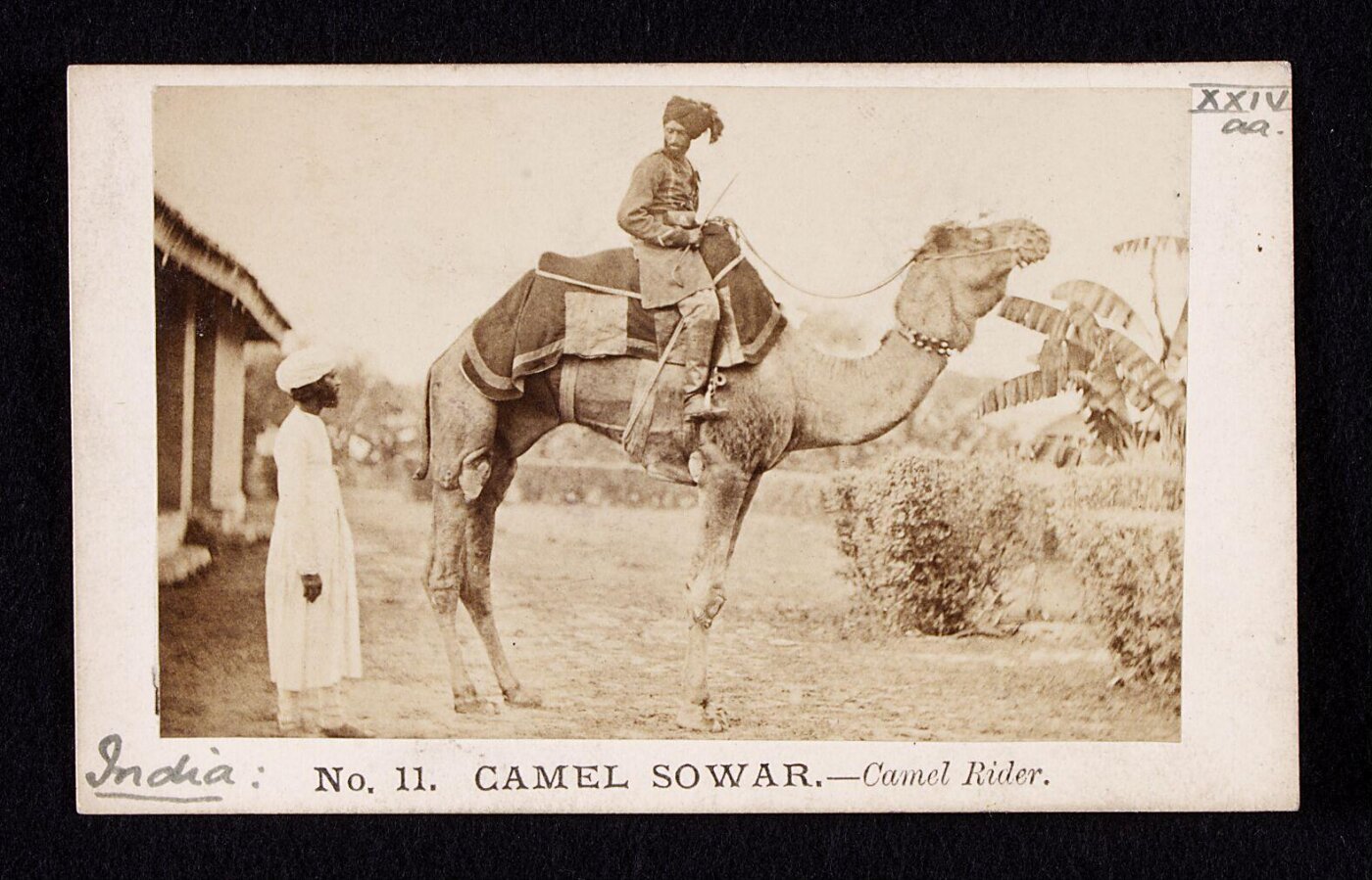 Unknown, Camel rider