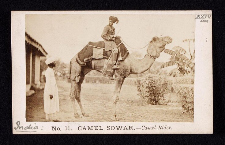 Camel rider top image