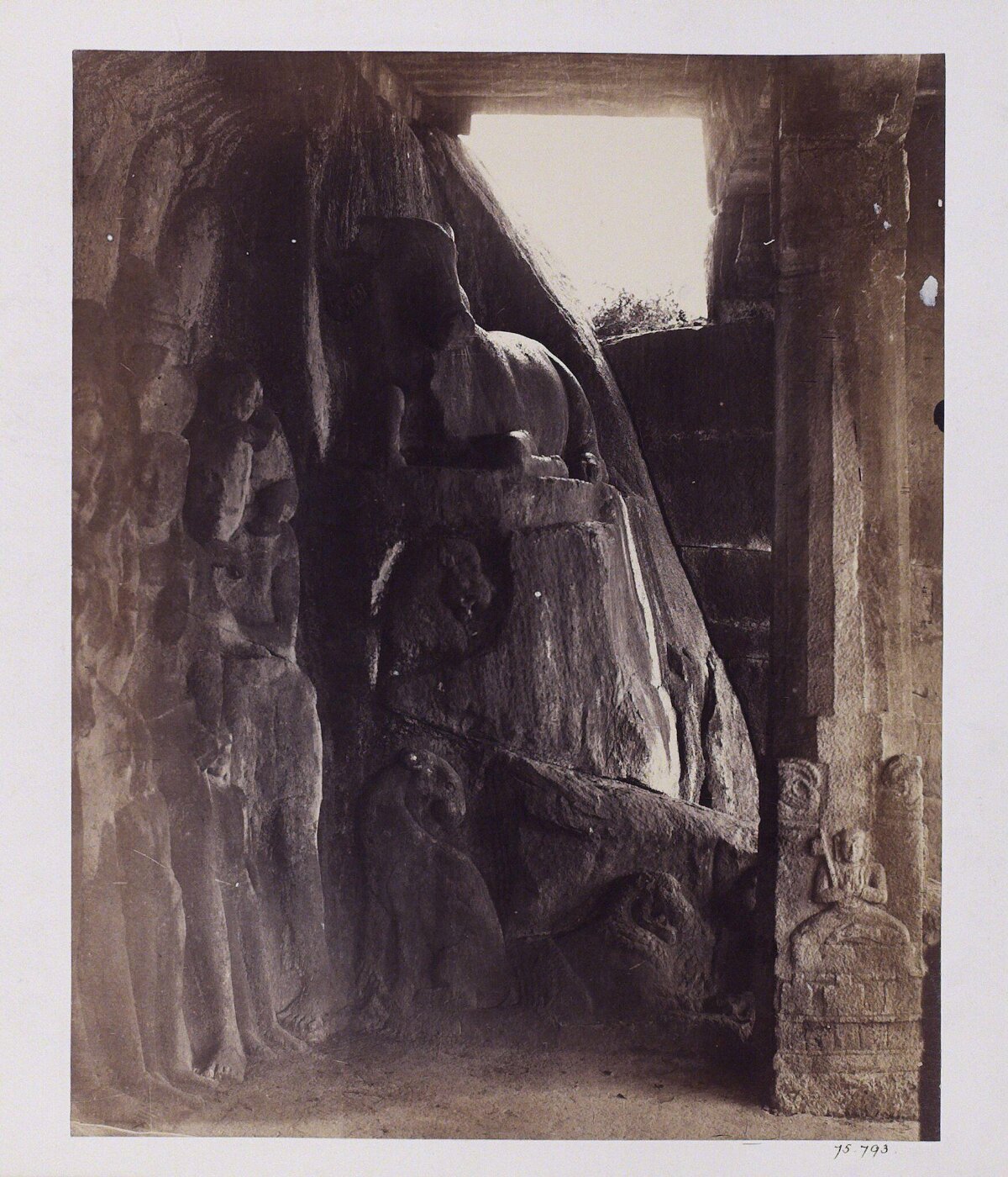 Unknown, Photograph