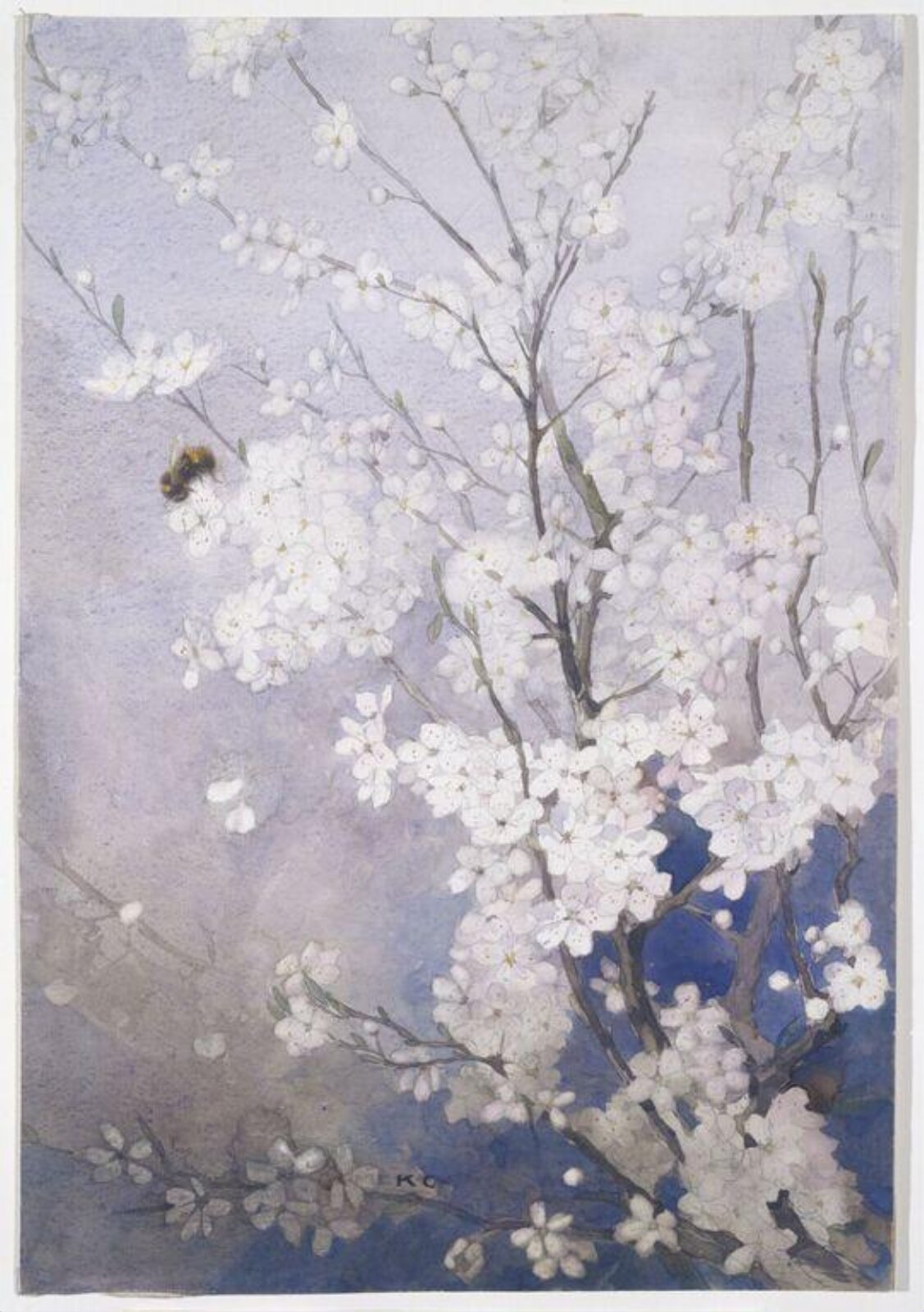 Plum Blossom, Katharine Cameron, ca. early 20th century