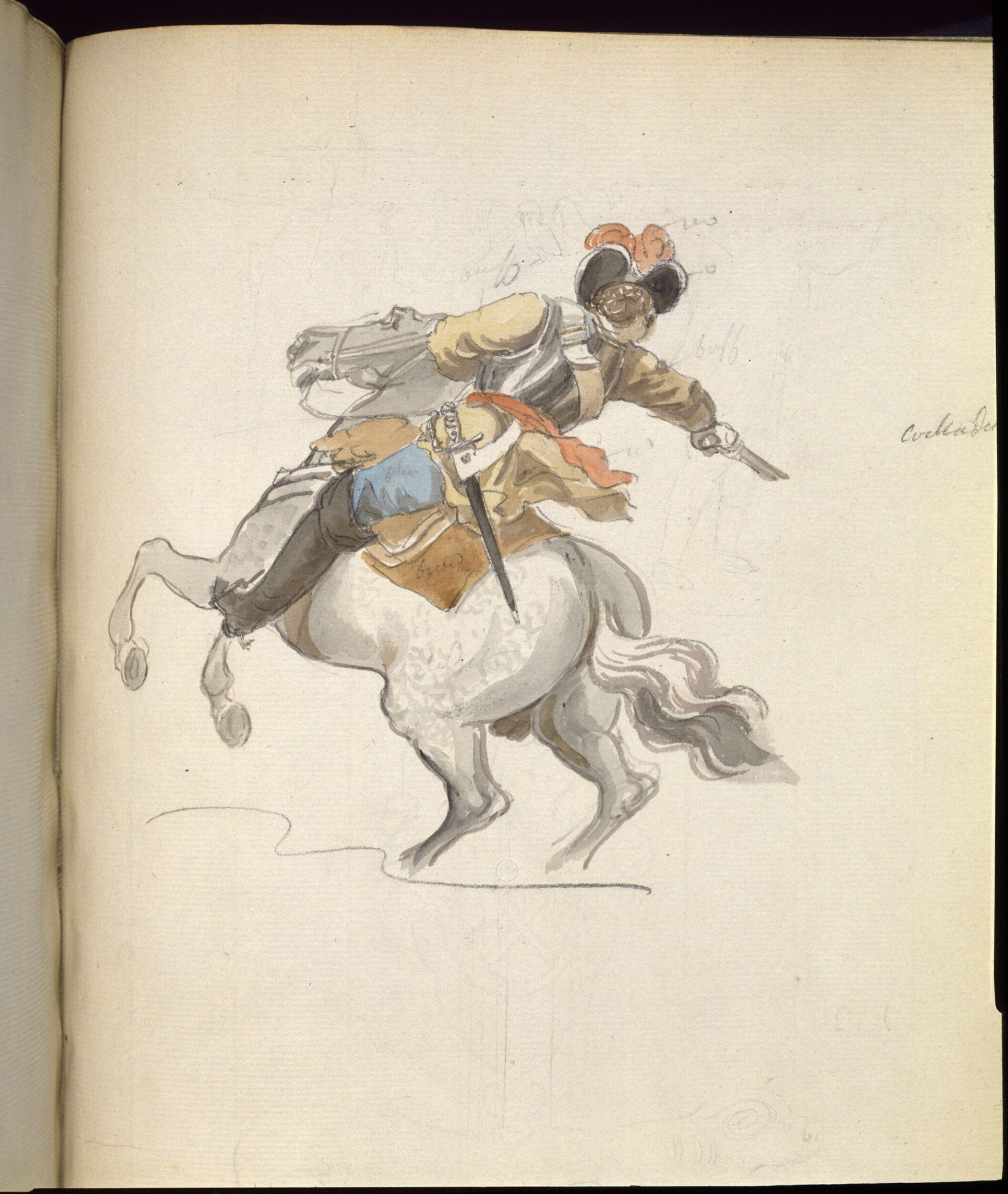 Sketches collected during leisure hours passed in Jamaica, containing specimens copied from the best authors and from nature, Charles Hamilton Smith, 1797-1807