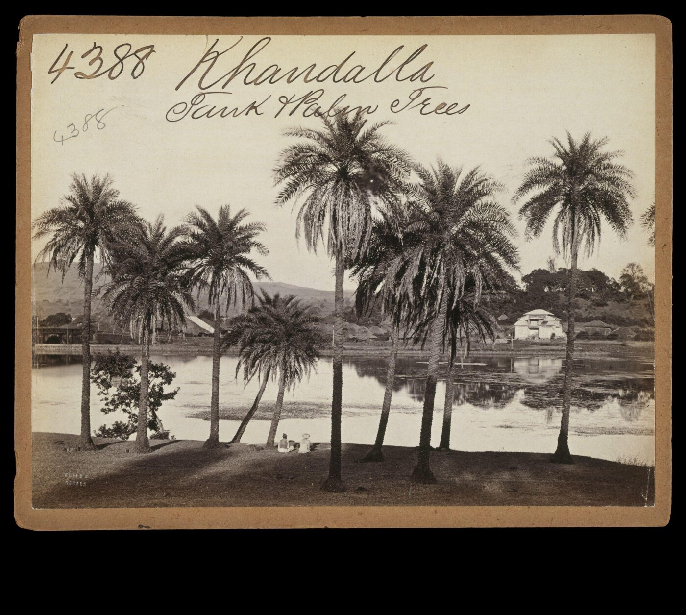 Francis Frith, Khandalla.  Tank & Palm Trees