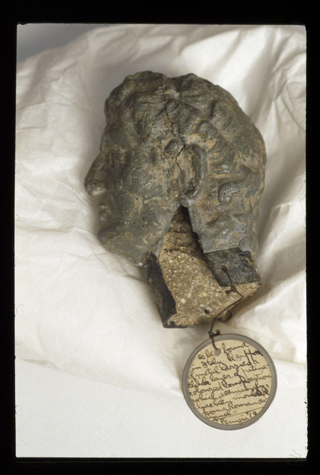 Head, 19th century