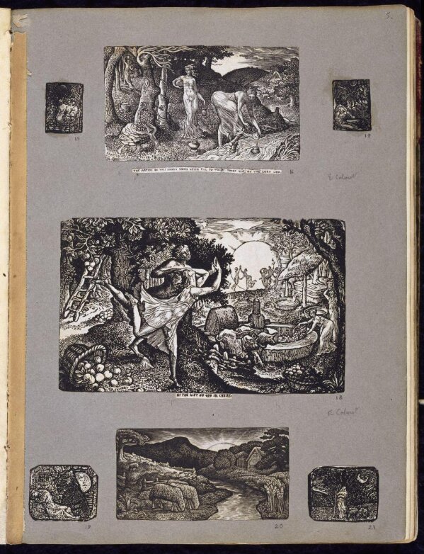 Print from Ionides Album