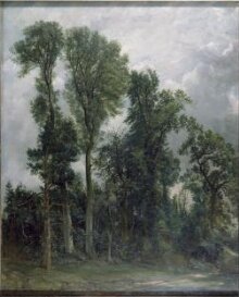 Trees at Hampstead: The Path to Church thumbnail 1