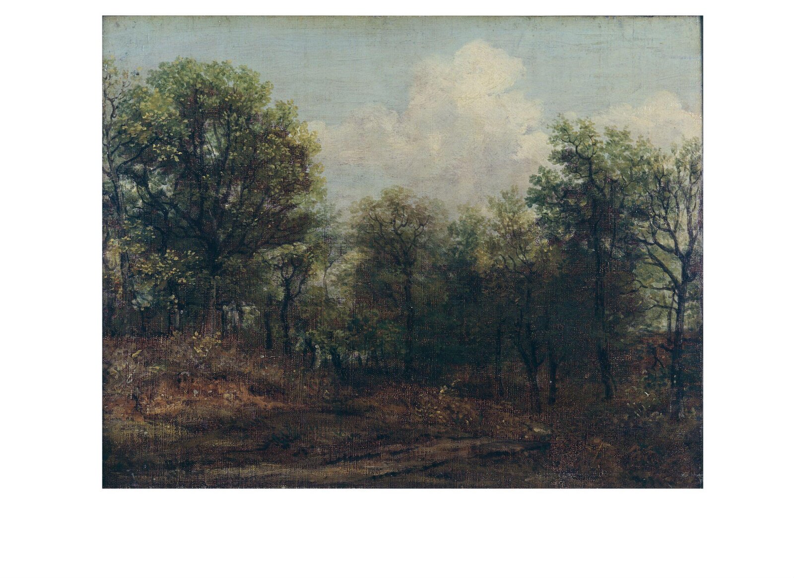 A Wood, John Constable, ca. 1802