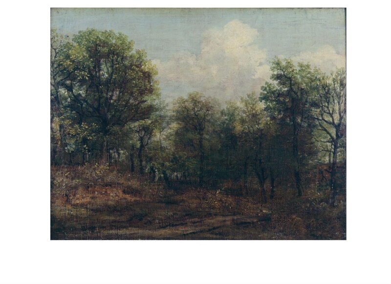 A Wood