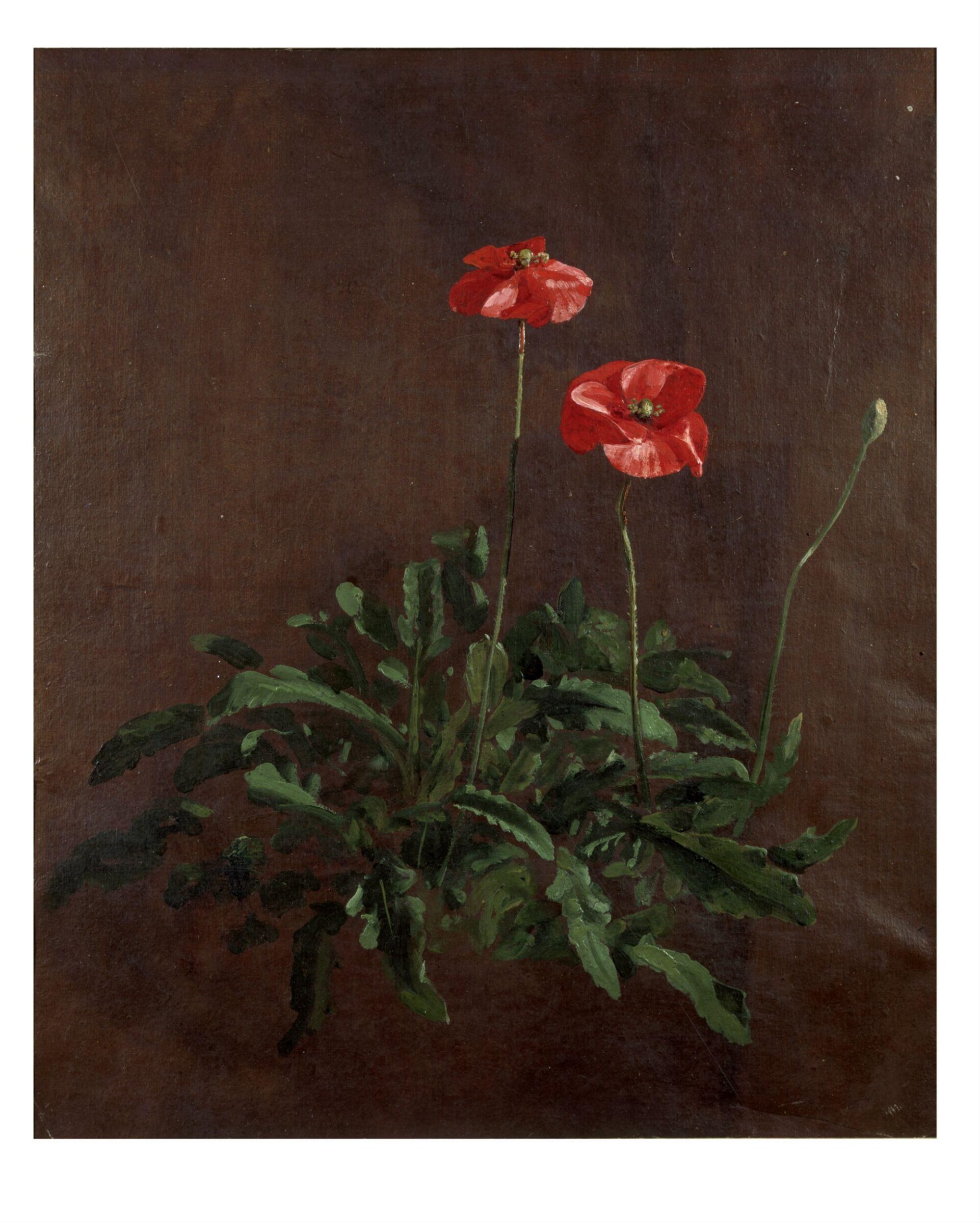 Study of poppies, John Constable, ca. 1832