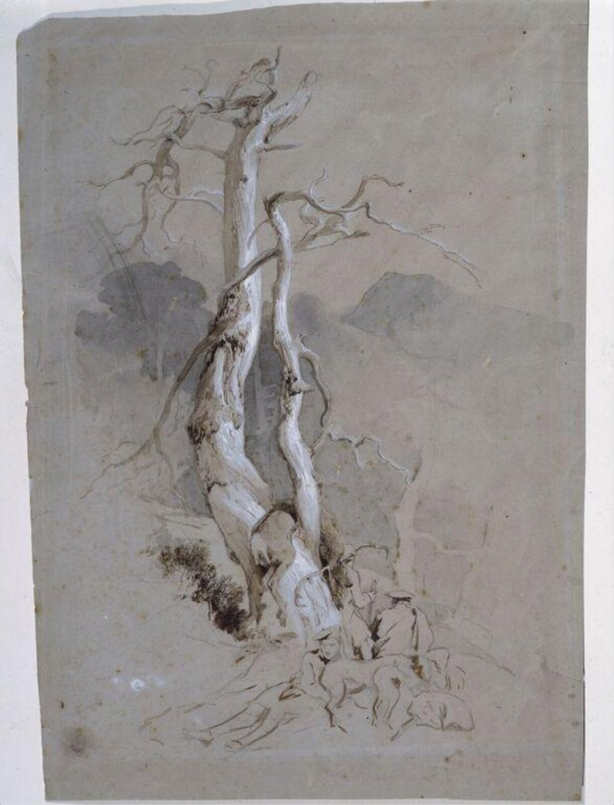 Drawing