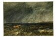 The Challenge: A Bull in a Storm on a Moor thumbnail 2