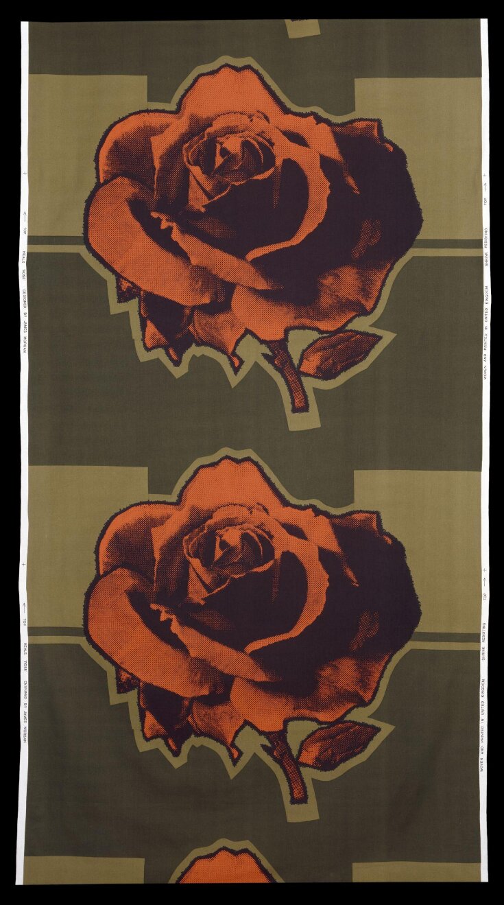 Rose top image