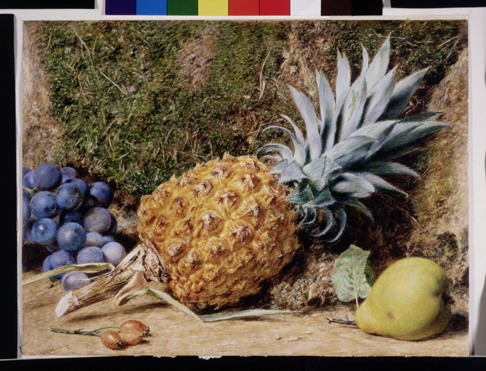 Pinapple with other fruit, William Henry Hunt