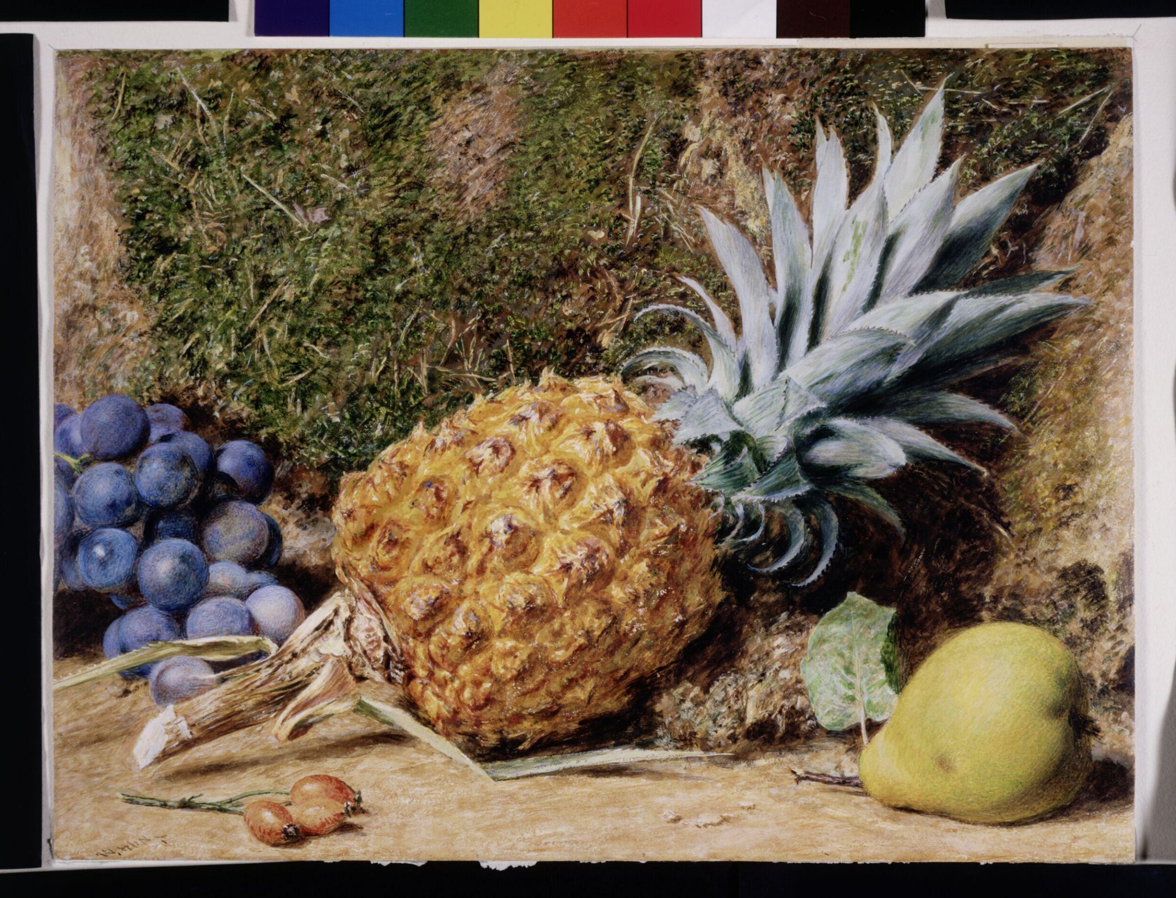 Pinapple with other fruit, William Henry Hunt